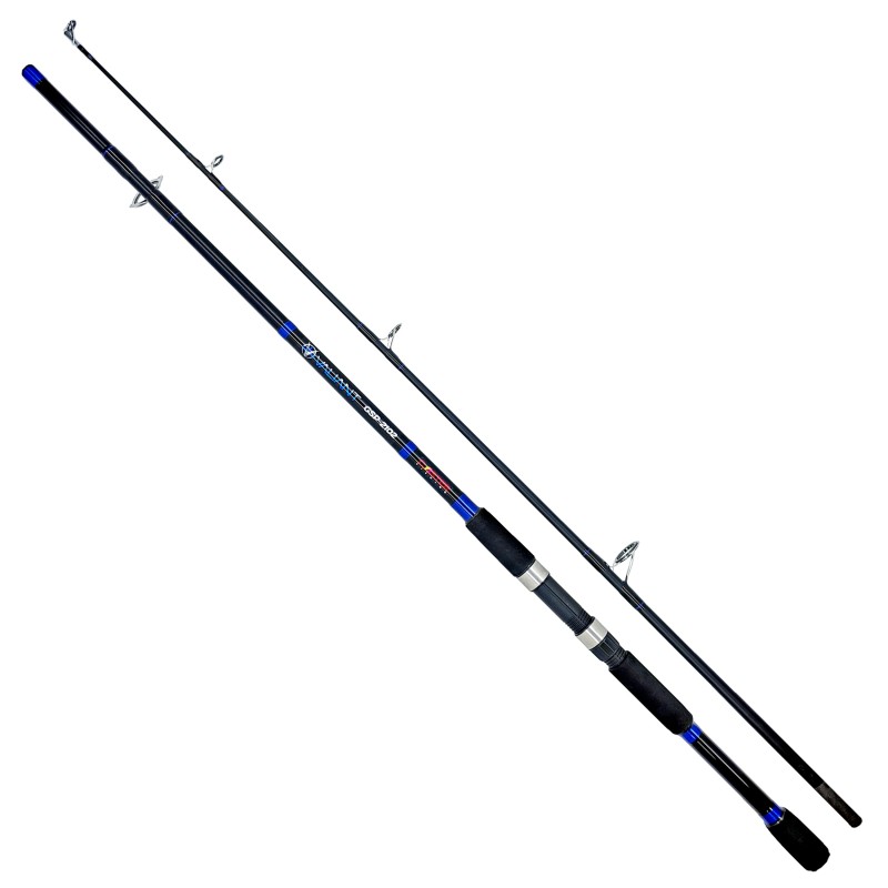 Caña CASTER Valiant 2.70m Variada Pesada 100-200g