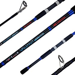 Caña CASTER Valiant 2.70m Variada Pesada 100-200g