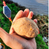 Harinado "Leon Pesca - Premium" 1kg - Carpas, Bogas, Sabalos