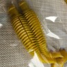 Señuelo Vibrotail Ribster para Dorados – Acción Potente y Precisa 15cm. X 2 Unidades