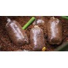 Bolsas PVA Gardner Slo-Mo Heavy Duty 130 × 80 mm | Leon Pesca